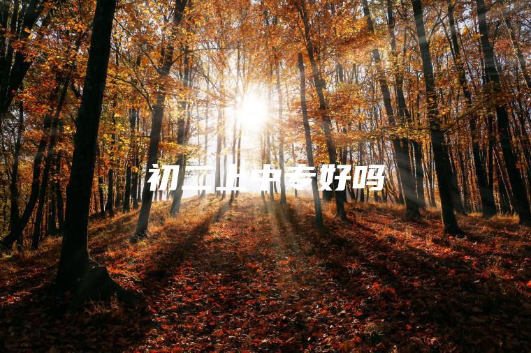 初二上中專(zhuān)好嗎