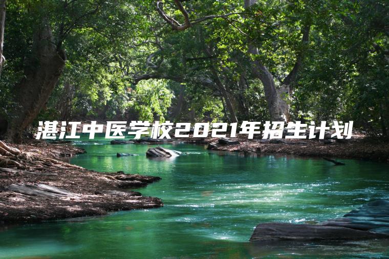 湛江中醫學(xué)校2021年招生計劃