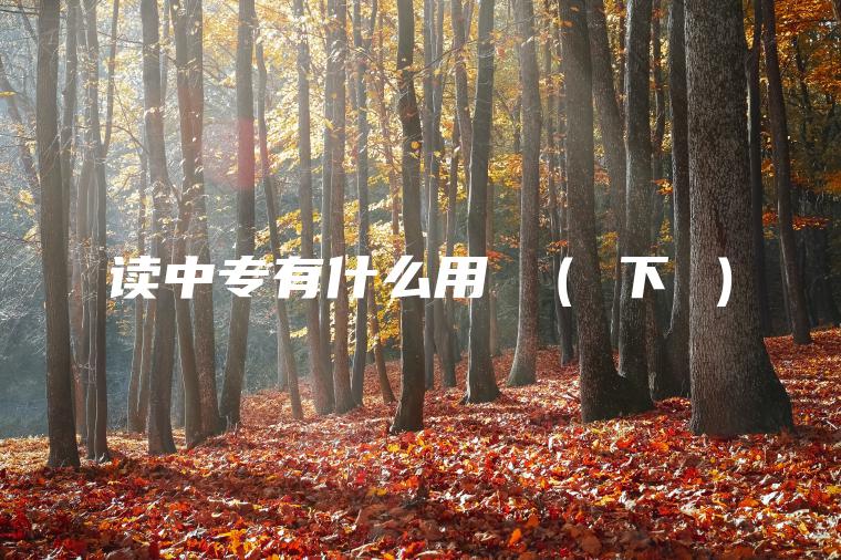 讀中專(zhuān)有什么用 （ 下 ）