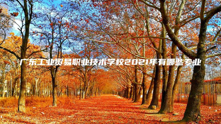 廣東工業(yè)貿易職業(yè)技術(shù)學(xué)校2021年有哪些專(zhuān)業(yè)