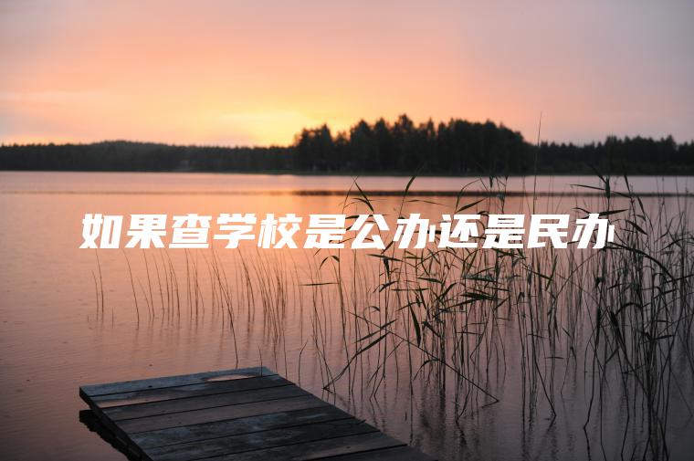 如果查學(xué)校是公辦還是民辦