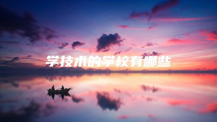 學(xué)技術(shù)的學(xué)校有哪些
