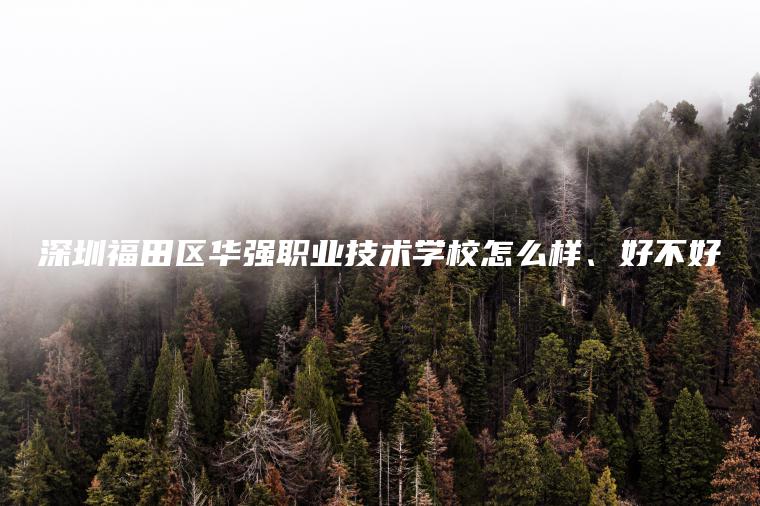 深圳福田區華強職業(yè)技術(shù)學(xué)校怎么樣、好不好