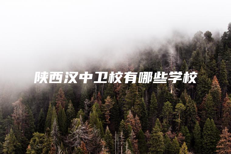 陜西漢中衛校有哪些學(xué)校