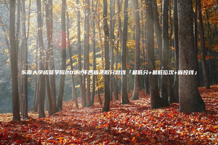 東南大學(xué)成賢學(xué)院2022年各省錄取分數線(xiàn)「最低分+最低位次+省控線(xiàn)」