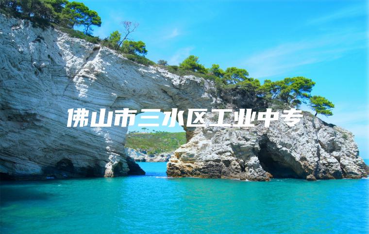 佛山市三水區工業(yè)中專(zhuān)
