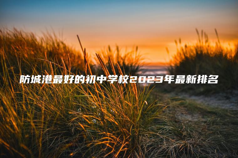 防城港最好的初中學(xué)校2023年最新排名