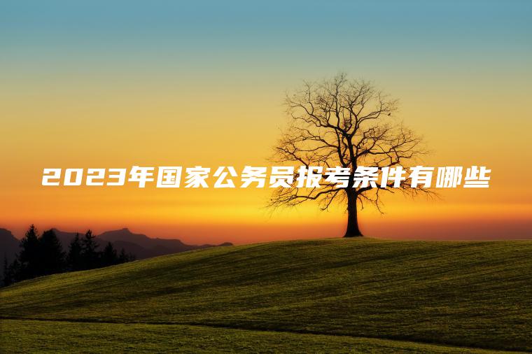 2023年國家公務(wù)員報考條件有哪些