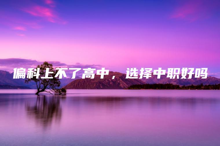 偏科上不了高中，選擇中職好嗎