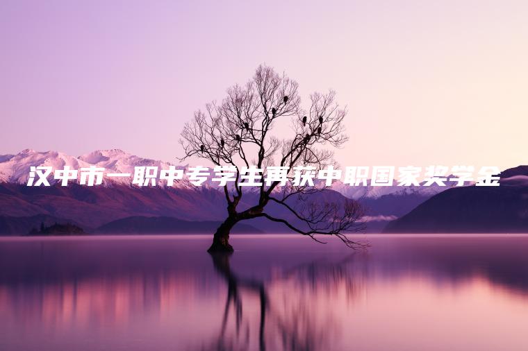 漢中市一職中專(zhuān)學(xué)生再獲中職國家獎學(xué)金