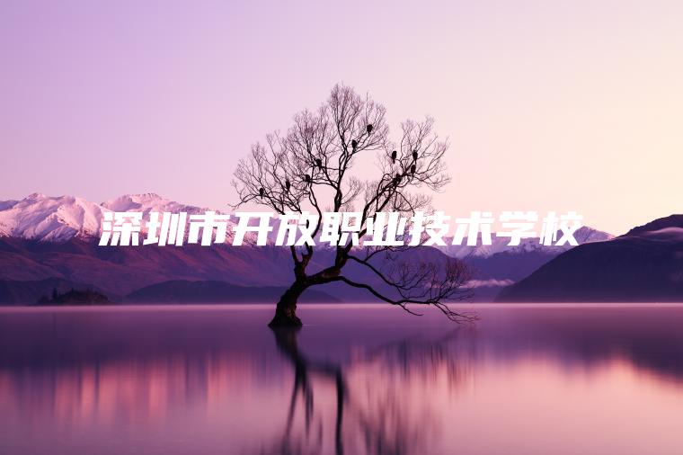 深圳市開(kāi)放職業(yè)技術(shù)學(xué)校