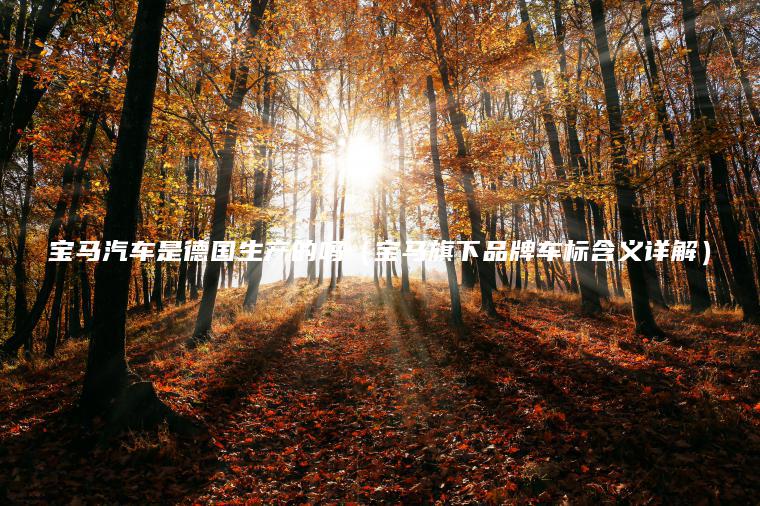 寶馬汽車(chē)是德國生產(chǎn)的嗎（寶馬旗下品牌車(chē)標含義詳解）
