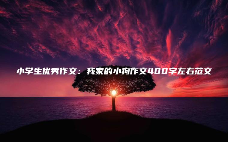 小學(xué)生優(yōu)秀作文：我家的小狗作文400字左右范文