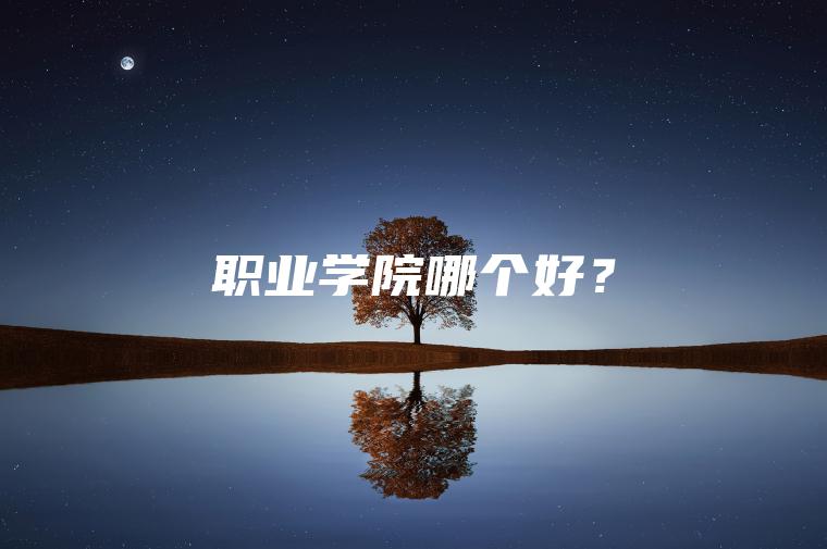職業(yè)學(xué)院哪個(gè)好？