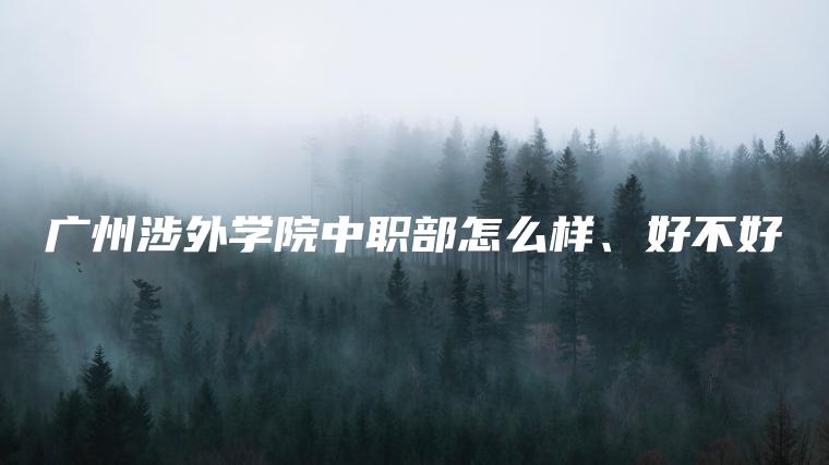 廣州涉外學(xué)院中職部怎么樣、好不好