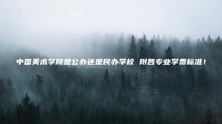 中國美術(shù)學(xué)院是公辦還是民辦學(xué)校 附各專(zhuān)業(yè)學(xué)費標準！