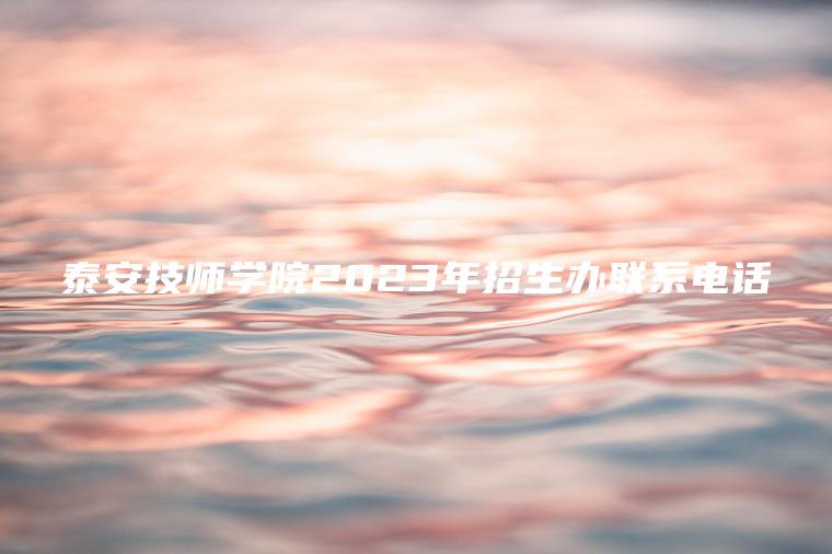 泰安技師學(xué)院2023年招生辦聯(lián)系電話(huà)