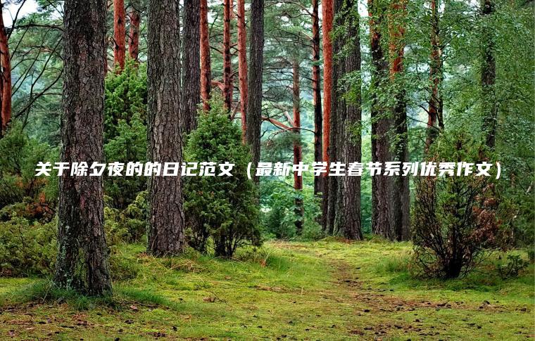 關(guān)于除夕夜的的日記范文（最新中學(xué)生春節系列優(yōu)秀作文）