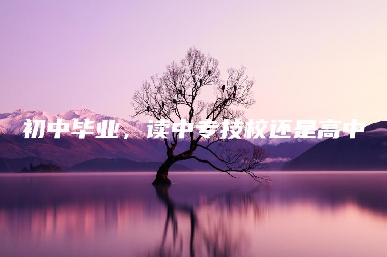 初中畢業(yè)，讀中專(zhuān)技校還是高中