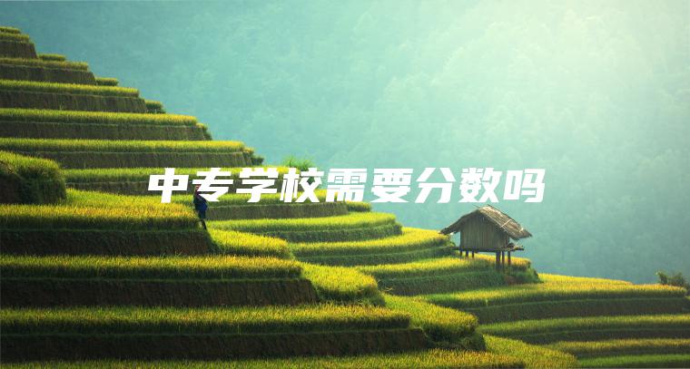 中專(zhuān)學(xué)校需要分數嗎