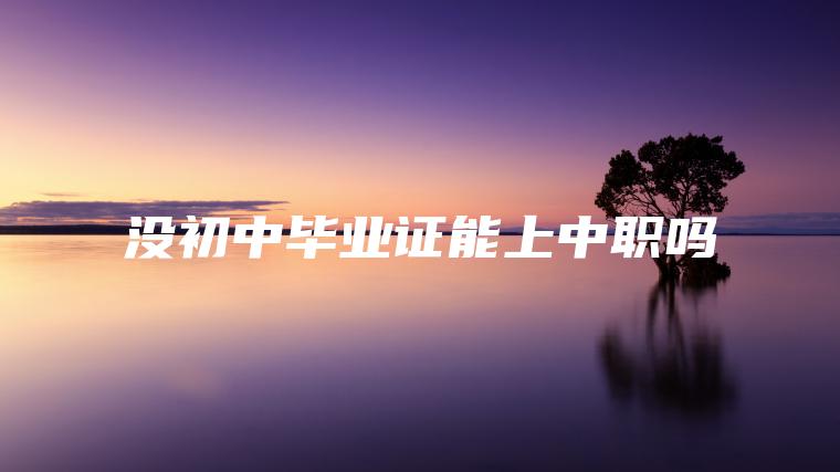 沒(méi)初中畢業(yè)證能上中職嗎