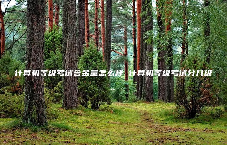 計算機等級考試含金量怎么樣 計算機等級考試分幾級