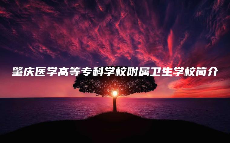 肇慶醫學(xué)高等專(zhuān)科學(xué)校附屬衛生學(xué)校簡(jiǎn)介