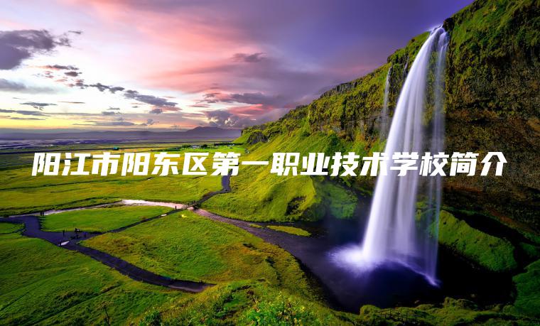 陽(yáng)江市陽(yáng)東區第一職業(yè)技術(shù)學(xué)校簡(jiǎn)介