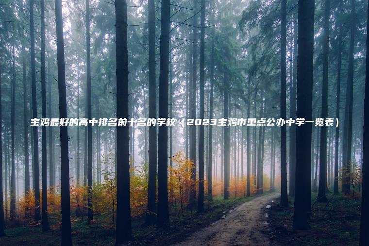 寶雞最好的高中排名前十名的學(xué)校（2023寶雞市重點(diǎn)公辦中學(xué)一覽表）