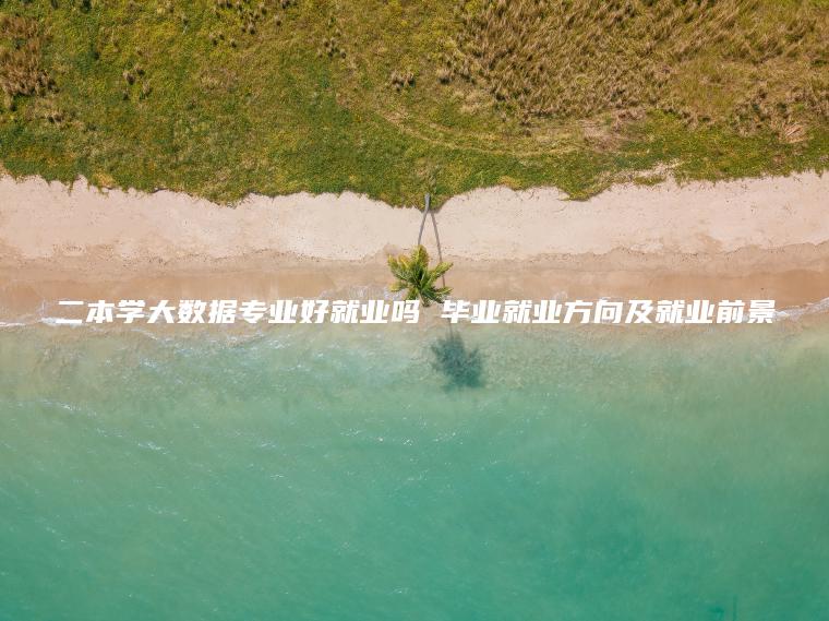 二本學(xué)大數據專(zhuān)業(yè)好就業(yè)嗎 畢業(yè)就業(yè)方向及就業(yè)前景