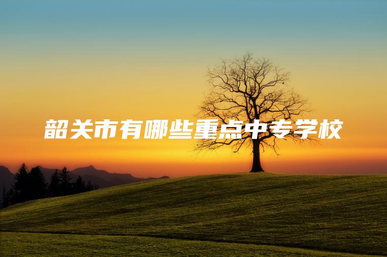 韶關(guān)市有哪些重點(diǎn)中專(zhuān)學(xué)校
