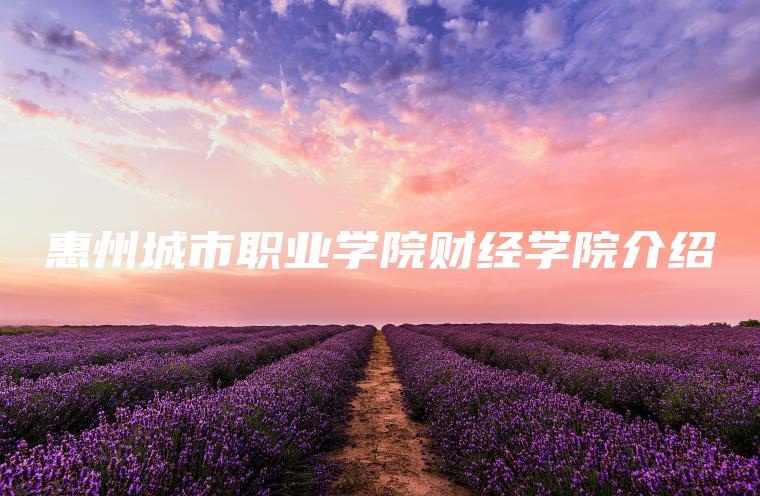 惠州城市職業(yè)學(xué)院財經(jīng)學(xué)院介紹