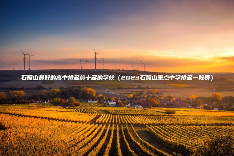 石嘴山最好的高中排名前十名的學(xué)校（2023石嘴山重點(diǎn)中學(xué)排名一覽表）