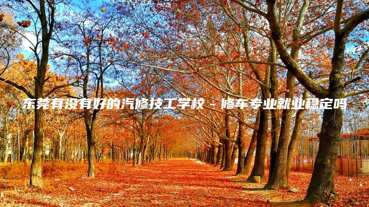 東莞有沒(méi)有好的汽修技工學(xué)校－修車(chē)專(zhuān)業(yè)就業(yè)穩定嗎