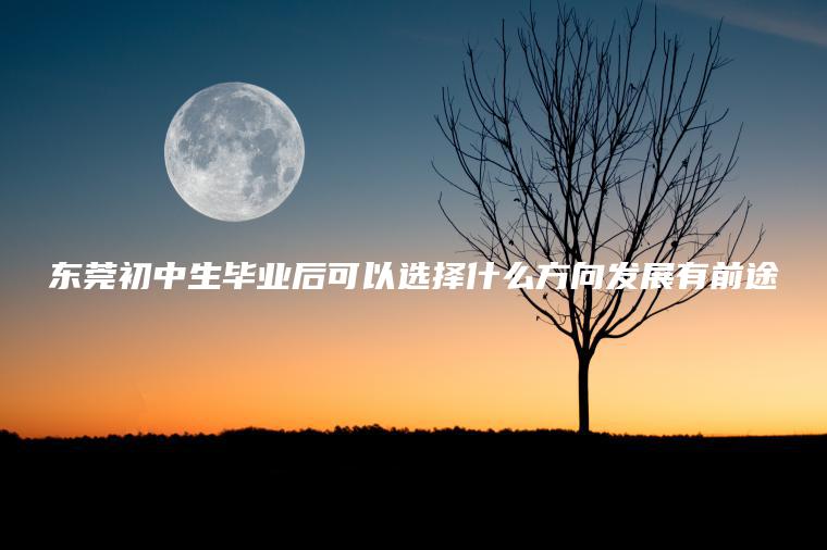 東莞初中生畢業(yè)后可以選擇什么方向發(fā)展有前途