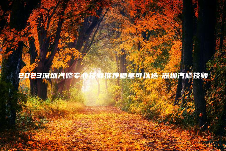2023深圳汽修專(zhuān)業(yè)技師推薦哪里可以選-深圳汽修技師