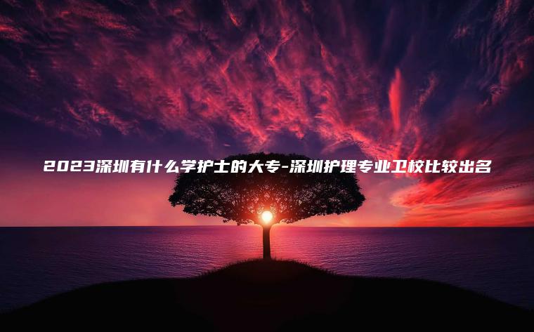 2023深圳有什么學(xué)護士的大專(zhuān)-深圳護理專(zhuān)業(yè)衛校比較出名
