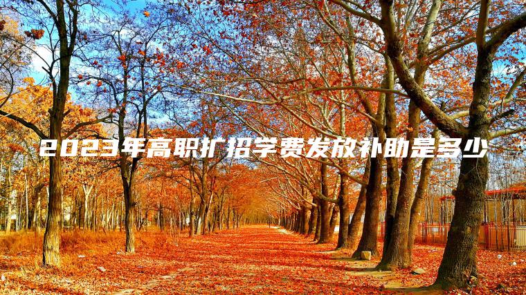 2023年高職擴招學(xué)費發(fā)放補助是多少