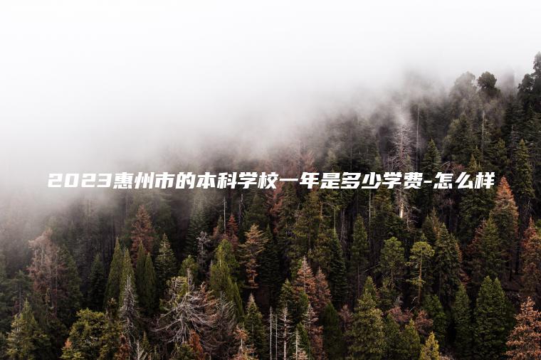 2023惠州市的本科學(xué)校一年是多少學(xué)費-怎么樣