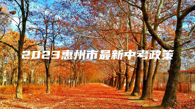 2023惠州市最新中考政策