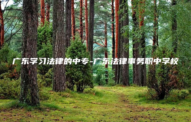 廣東學(xué)習法律的中專(zhuān)-廣東法律事務(wù)職中學(xué)校
