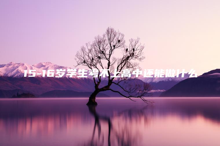 15-16歲學(xué)生考不上高中還能做什么