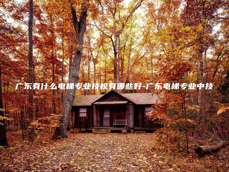 廣東有什么電梯專(zhuān)業(yè)技校有哪些好-廣東電梯專(zhuān)業(yè)中技