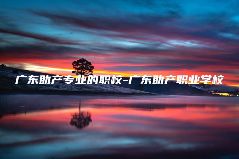 廣東助產(chǎn)專(zhuān)業(yè)的職校-廣東助產(chǎn)職業(yè)學(xué)校