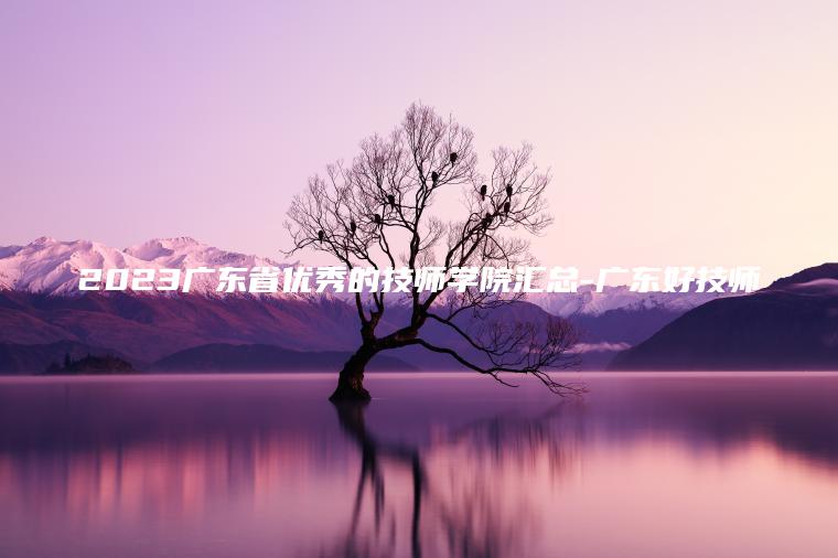 2023廣東省優(yōu)秀的技師學(xué)院匯總-廣東好技師