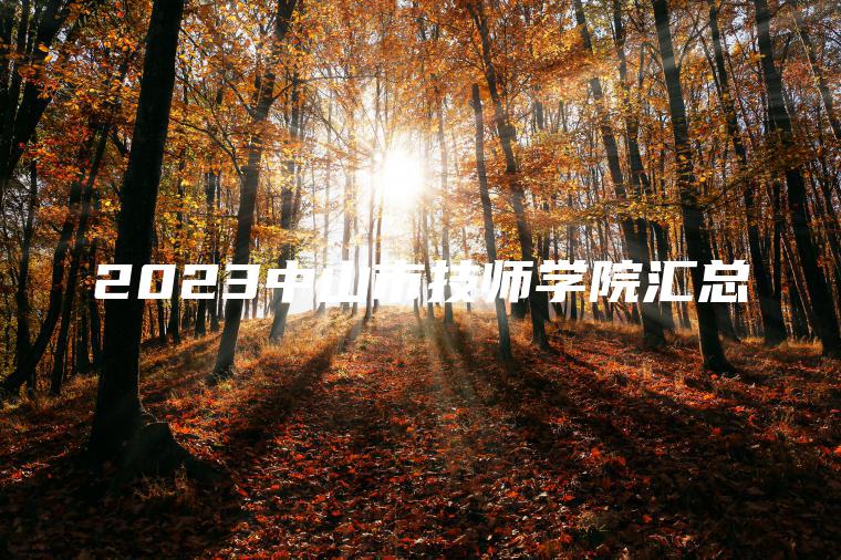 2023中山市技師學(xué)院匯總