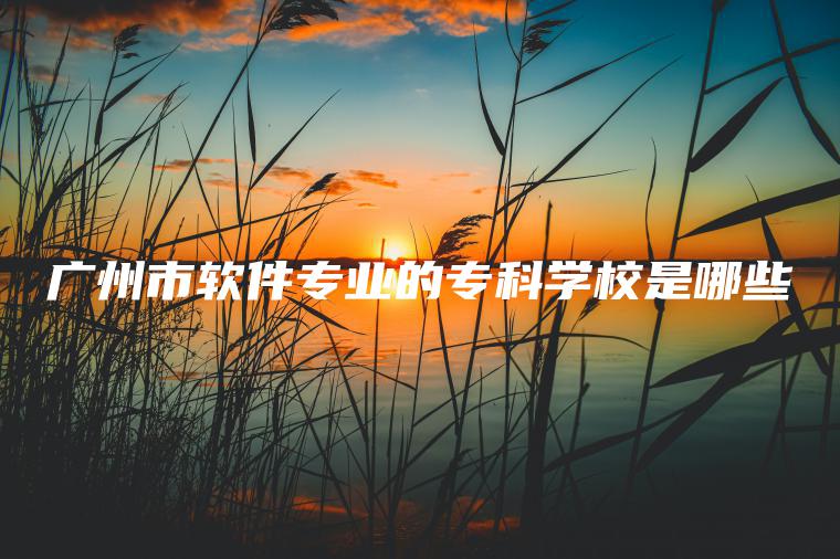 廣州市軟件專(zhuān)業(yè)的專(zhuān)科學(xué)校是哪些