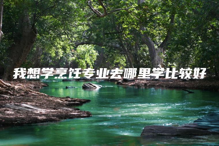 我想學(xué)烹飪專(zhuān)業(yè)去哪里學(xué)比較好