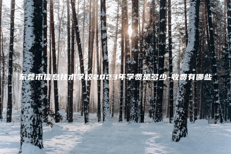 東莞市信息技術(shù)學(xué)校2023年學(xué)費是多少-收費有哪些
