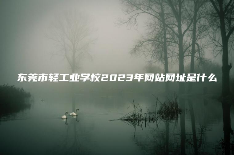 東莞市輕工業(yè)學(xué)校2023年網(wǎng)站網(wǎng)址是什么